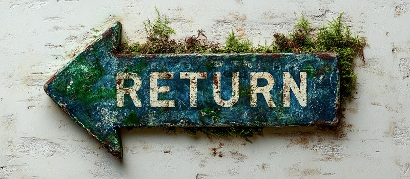 Return to the main webpage
